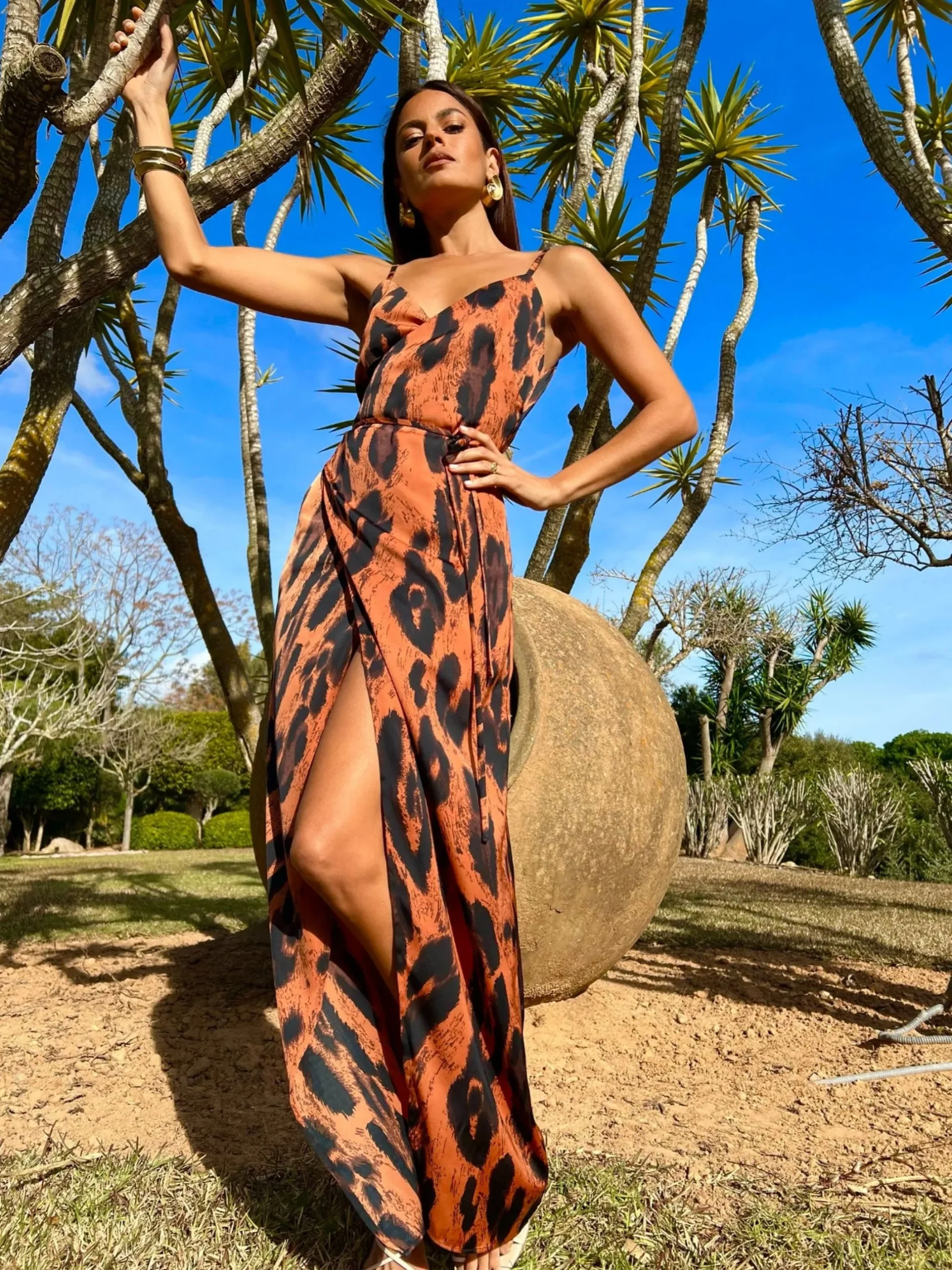Mariah Wrap Dress In Chocolate Leopard